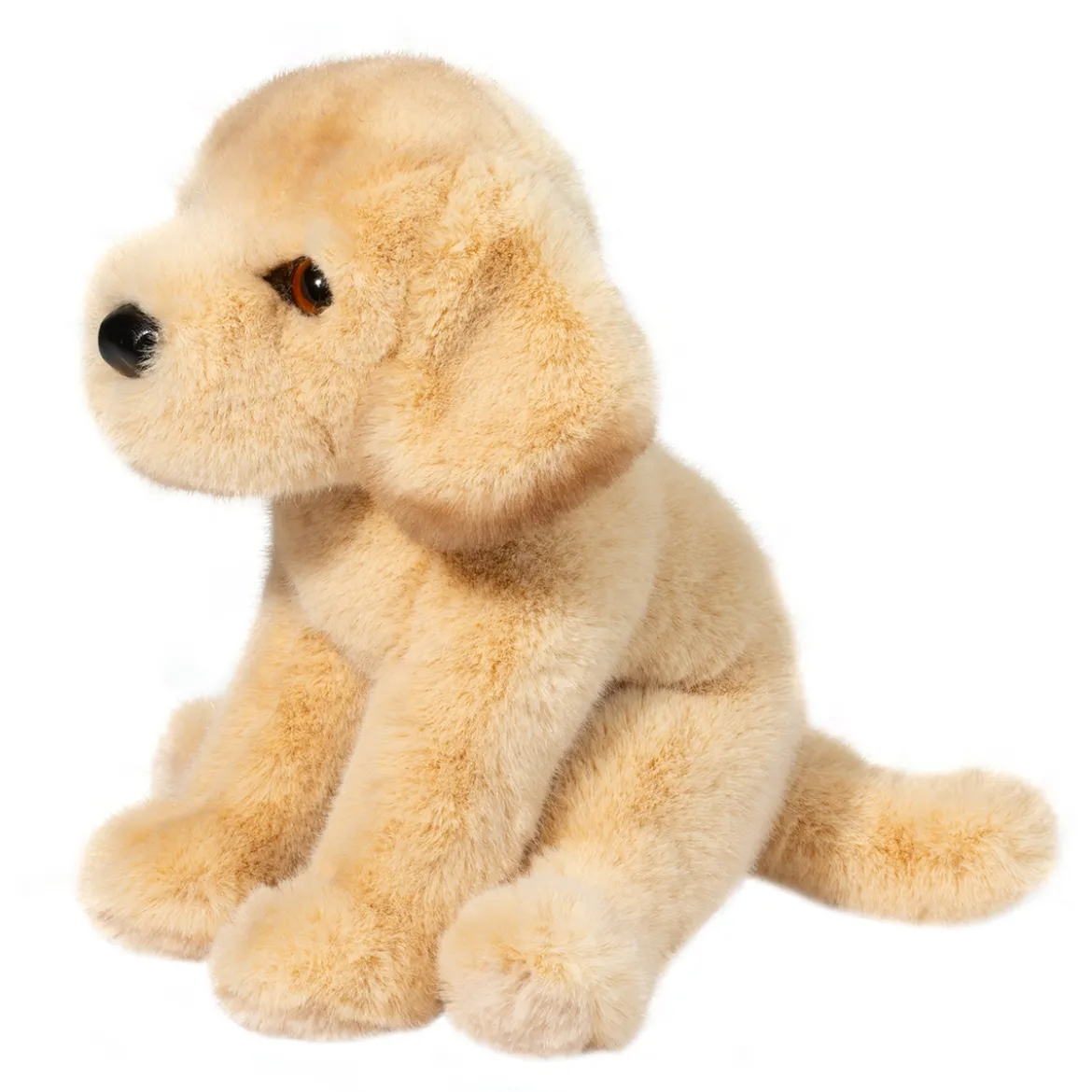 Ace Yellow Lab