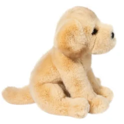 Ace Yellow Lab