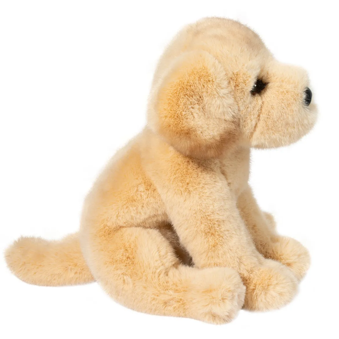 Ace Yellow Lab