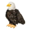 Adler Bald Eagle