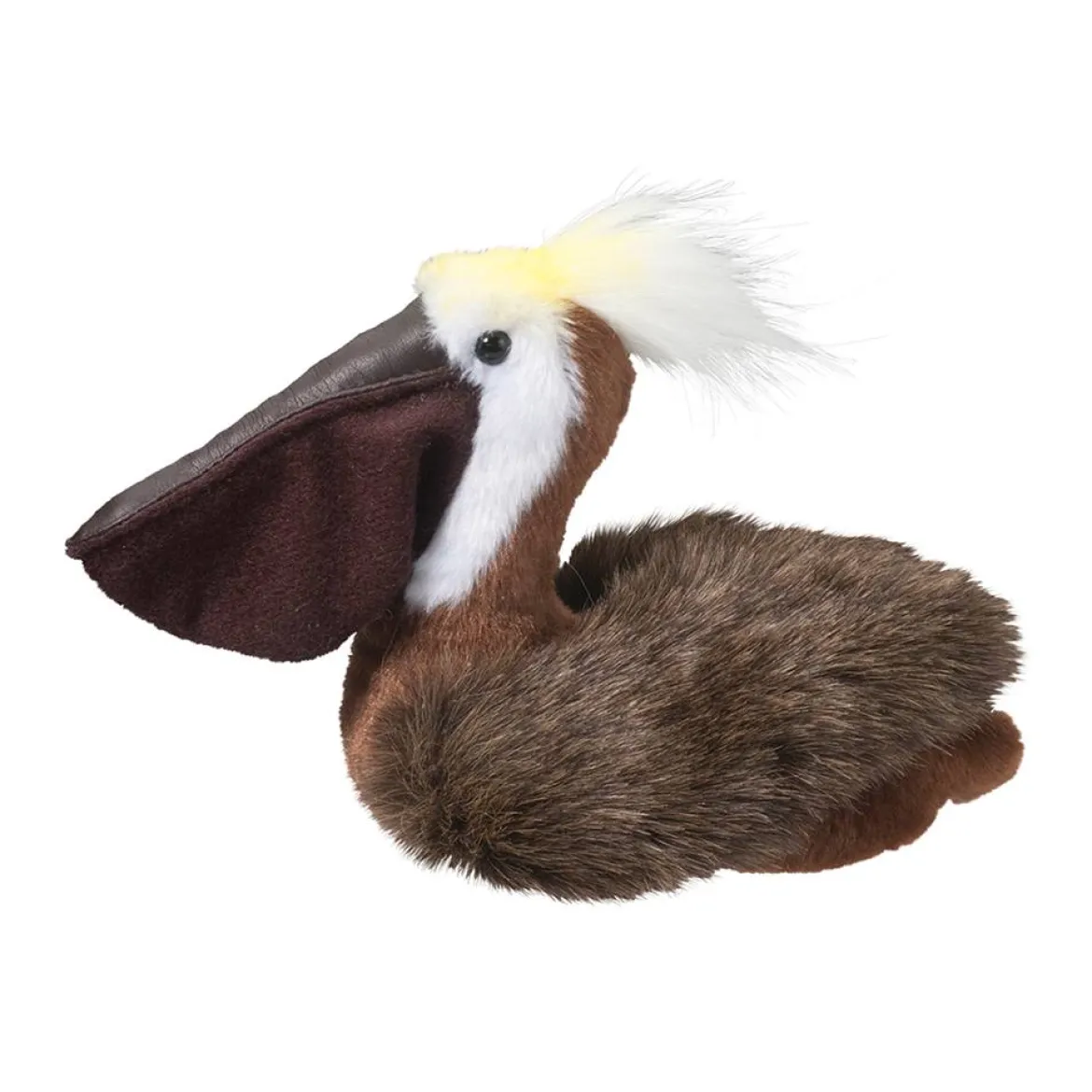 Beachy Pelican