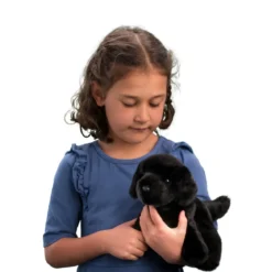 Bear Black Lab