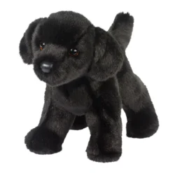 Bear Black Lab