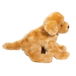 Bella Golden Retriever