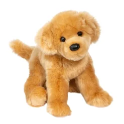 Bella Golden Retriever