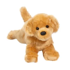 Bella Golden Retriever
