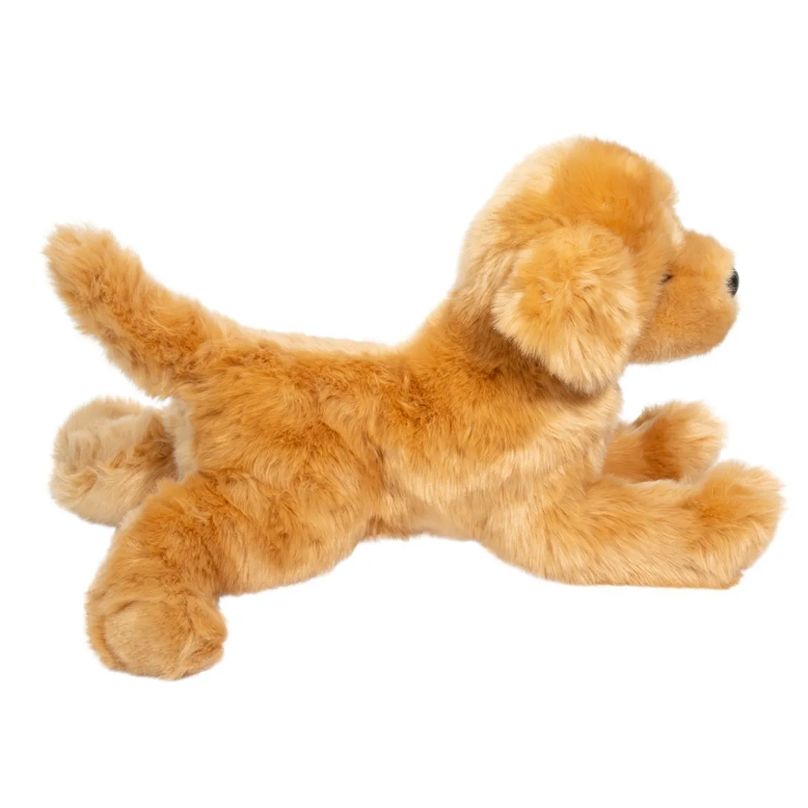 Bella Golden Retriever