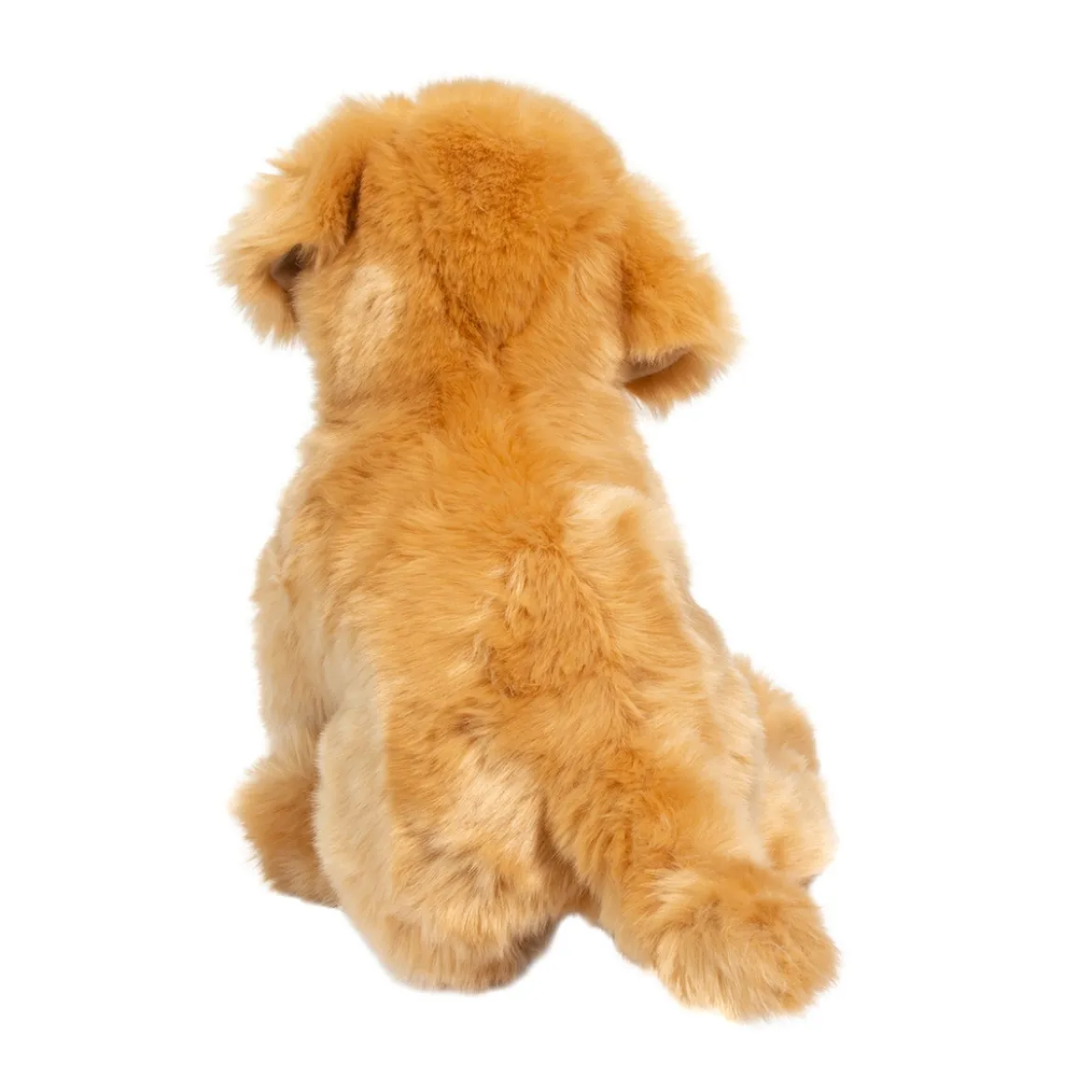 Bella Golden Retriever