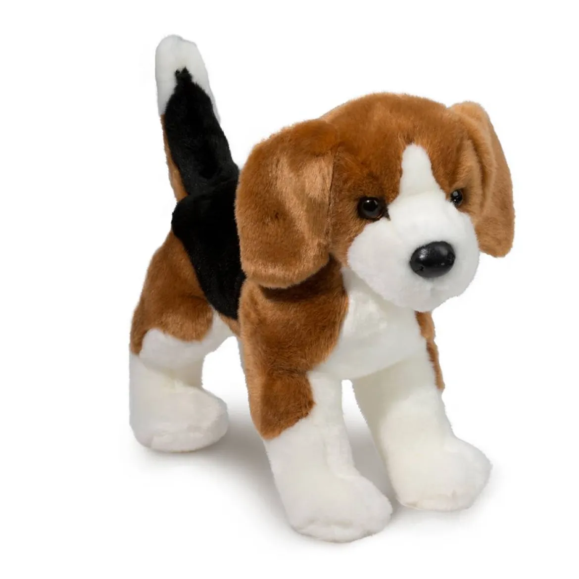 Bernie Beagle