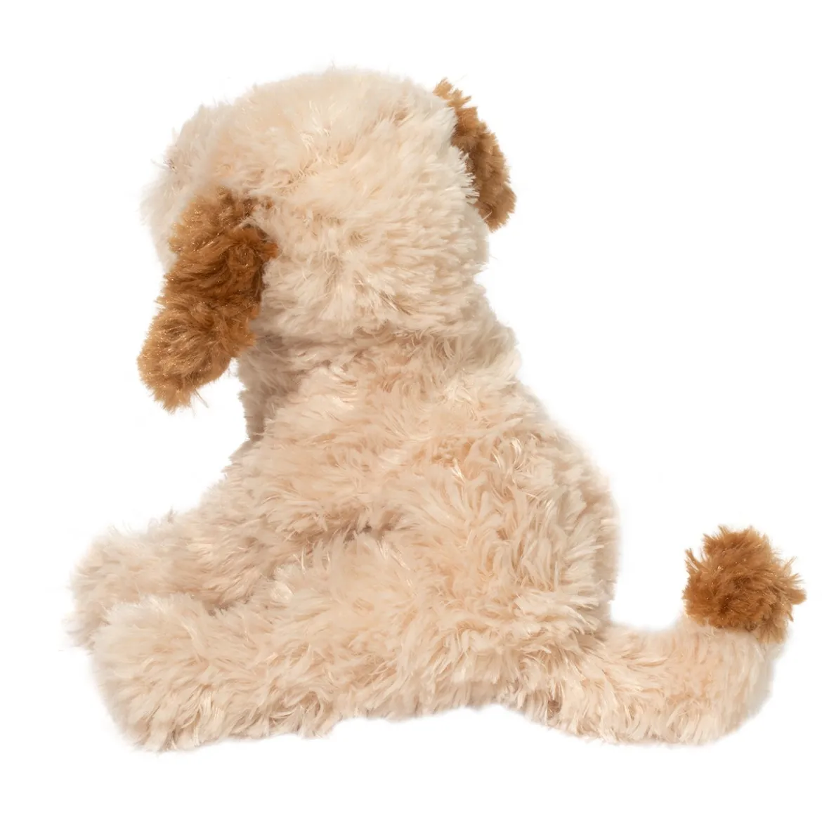 Biscuit Cavapoo