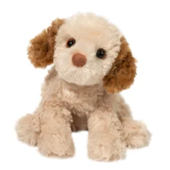 Biscuit Cavapoo