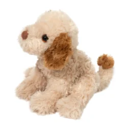Biscuit Cavapoo