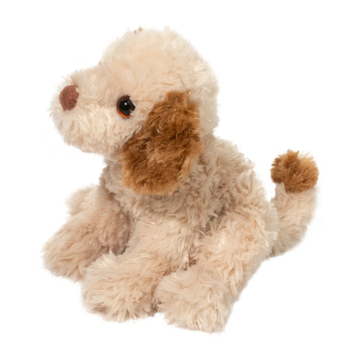 Biscuit Cavapoo