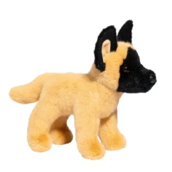 Brent Belgian Malinois