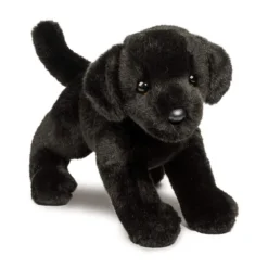 Brewster Black Lab