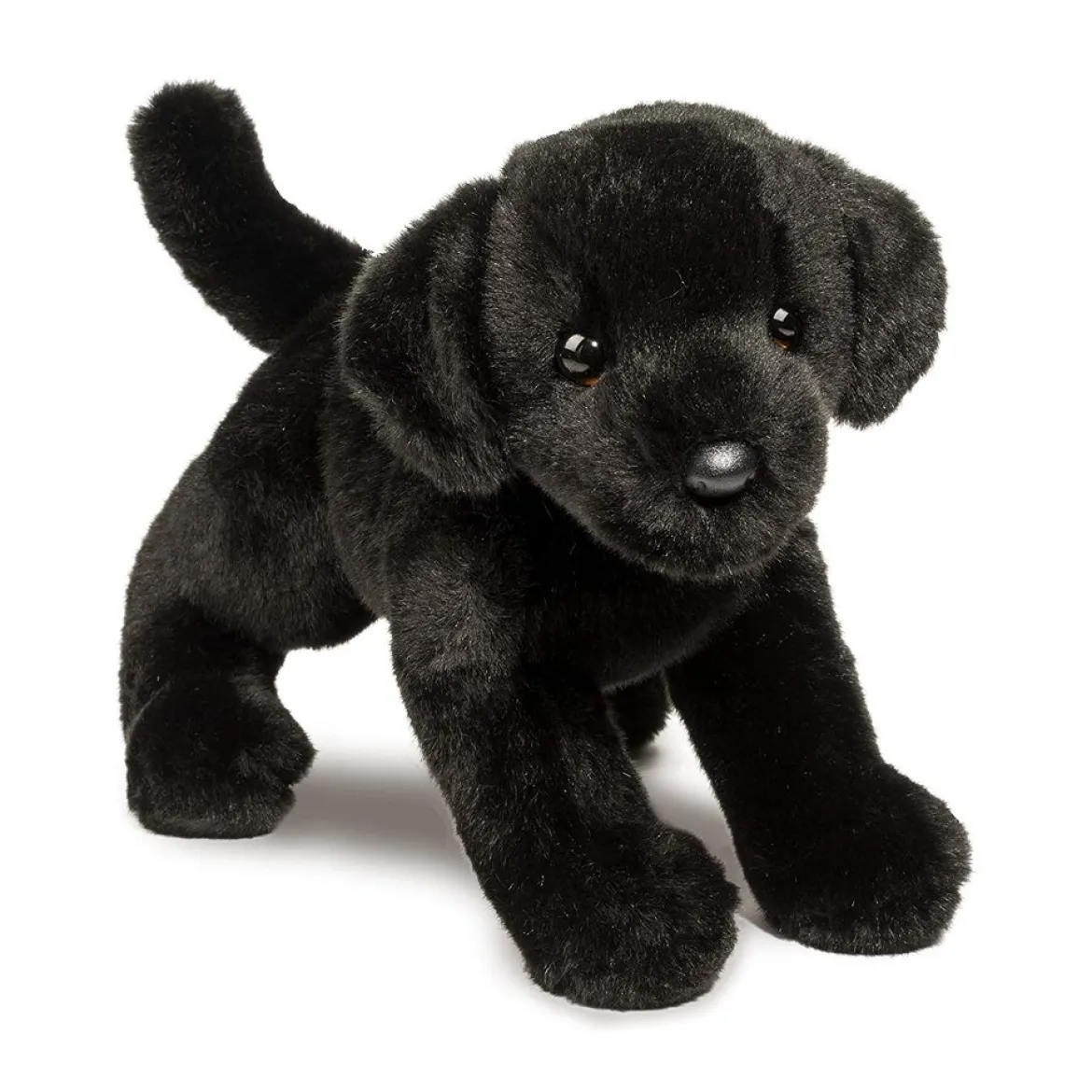 Brewster Black Lab