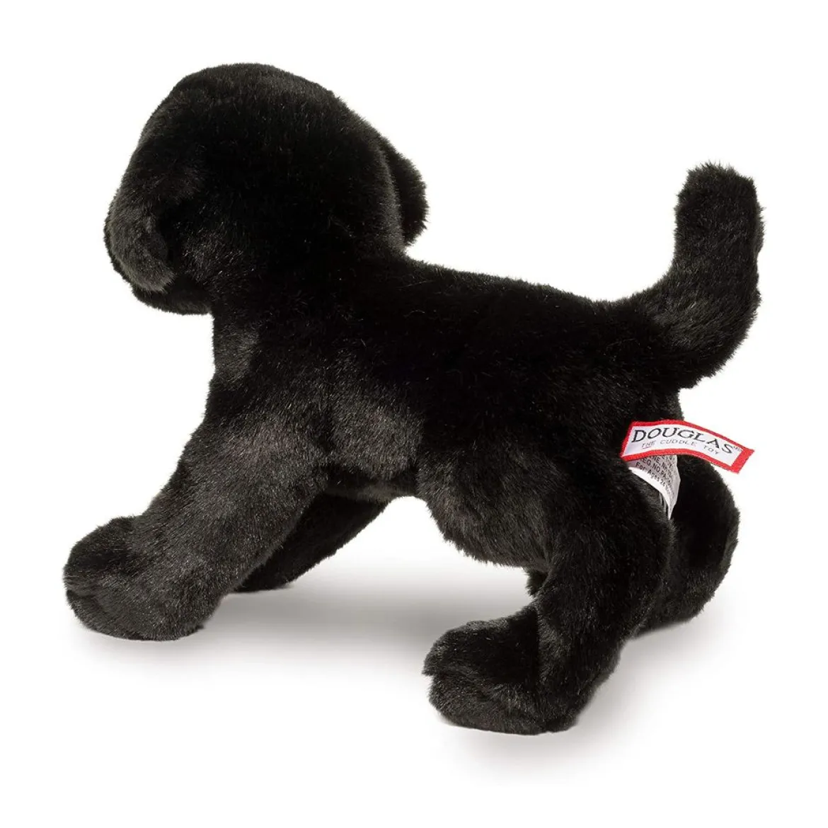 Brewster Black Lab