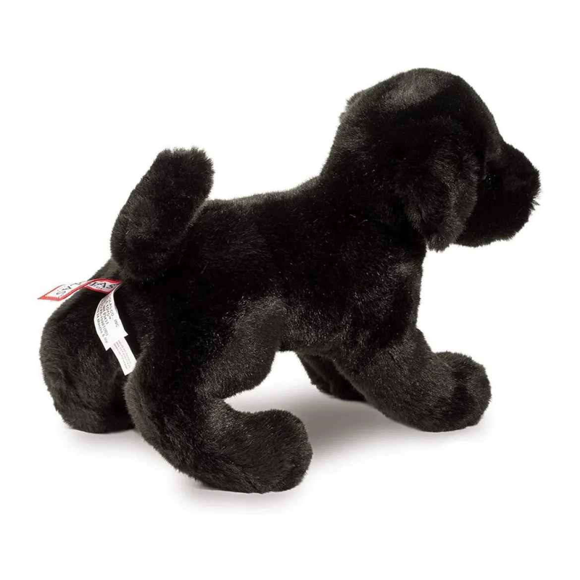 Brewster Black Lab