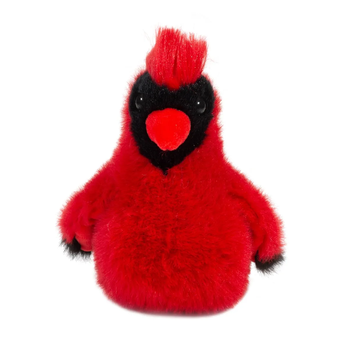 Carmine Cardinal