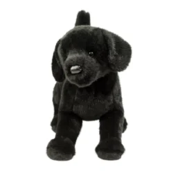 Chester Black Lab