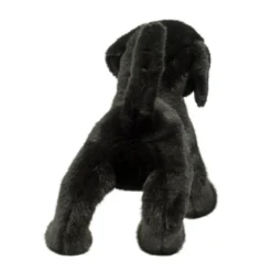 Chester Black Lab