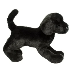 Chester Black Lab