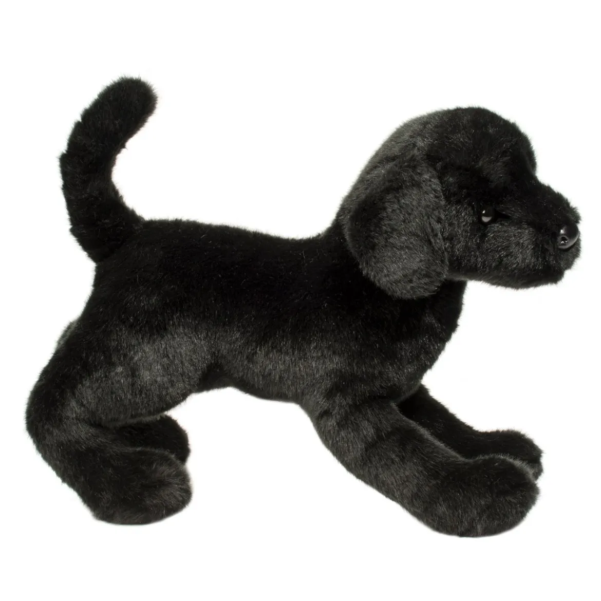 Chester Black Lab