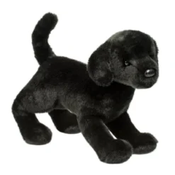 Chester Black Lab