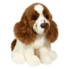 Chip Springer Spaniel