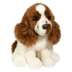 Chip Springer Spaniel