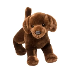 Cocoa Chocolate Lab