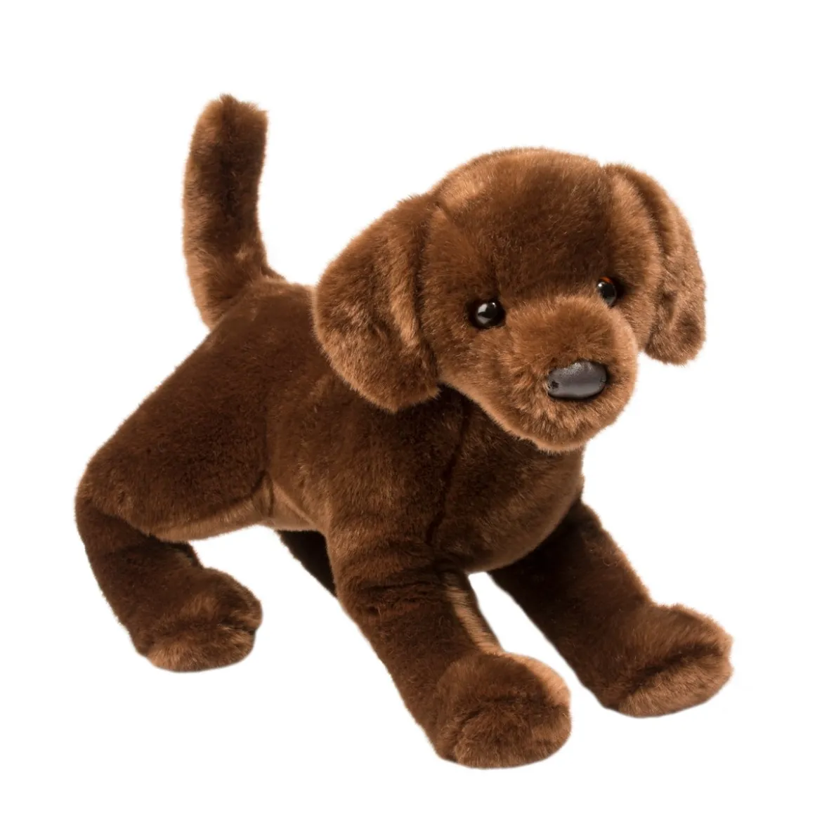 Cocoa Chocolate Lab
