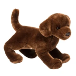 Cocoa Chocolate Lab