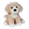 Darcy Golden Doodle