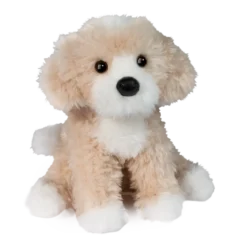 Darcy Golden Doodle