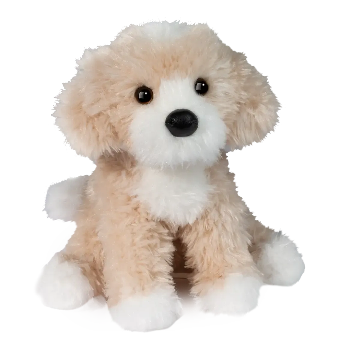 Darcy Golden Doodle