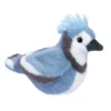 Denim Blue Jay