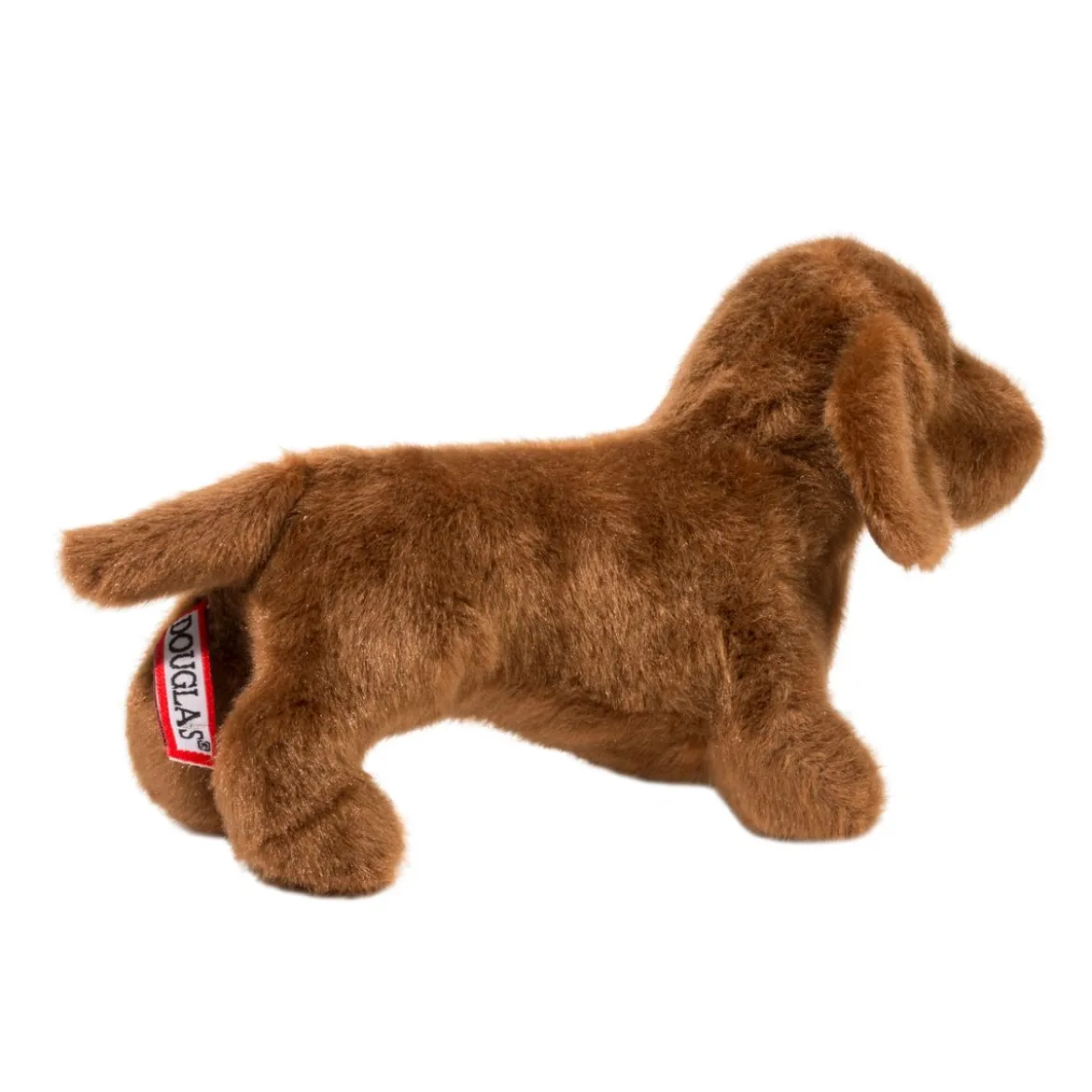 Dilly Dachshund