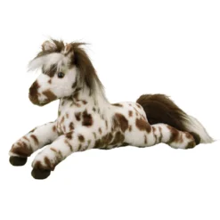 Duke Appaloosa Horse