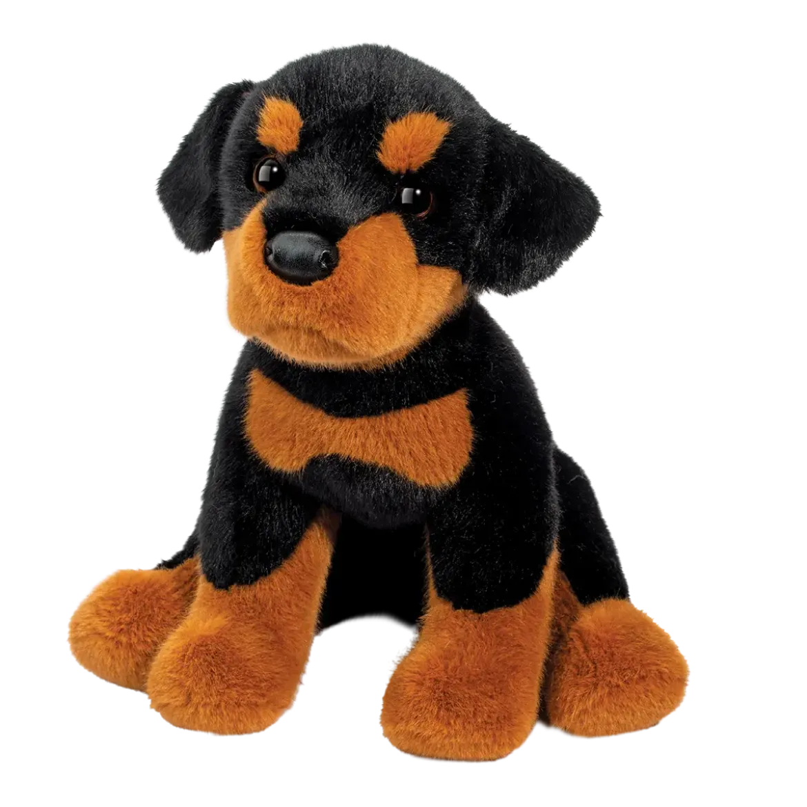 Ed Rottweiler