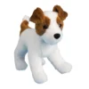 Feisty Jack Russel Terrier