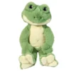 Floyd Frog