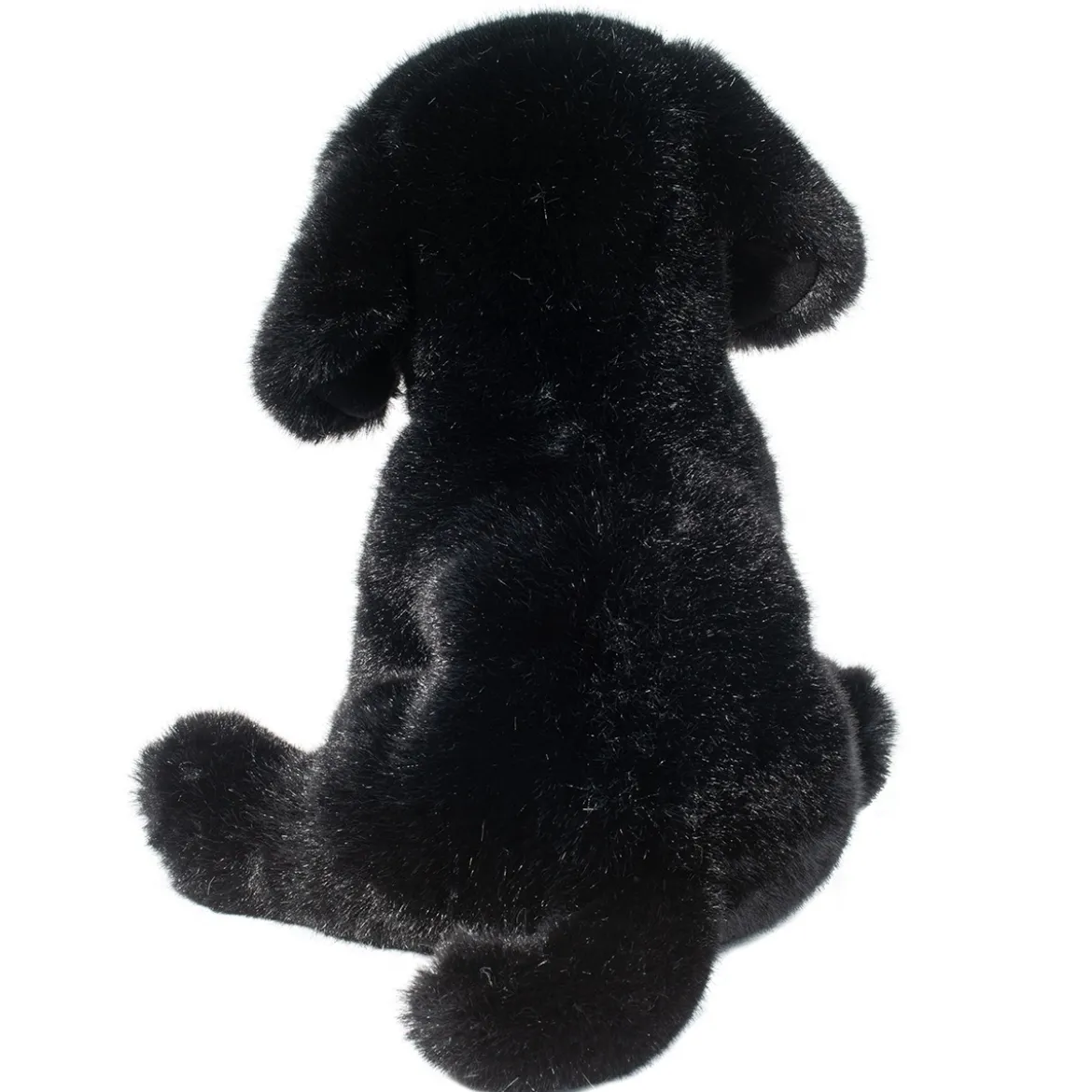 Ford Black Lab