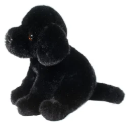 Ford Black Lab