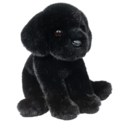 Ford Black Lab