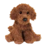 Ginger Miniature Poodle