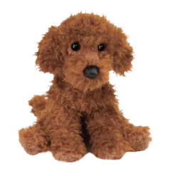 Ginger Miniature Poodle