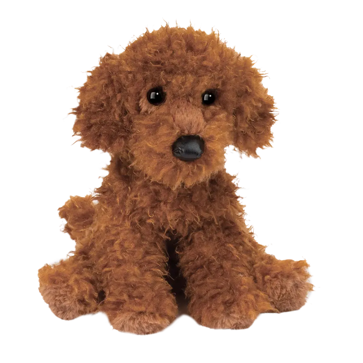 Ginger Miniature Poodle