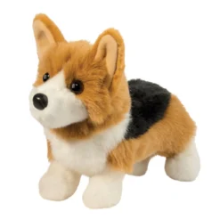 Gizmo Tri Color Corgi