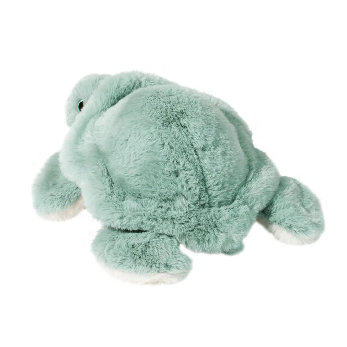 Jade Sea Turtle